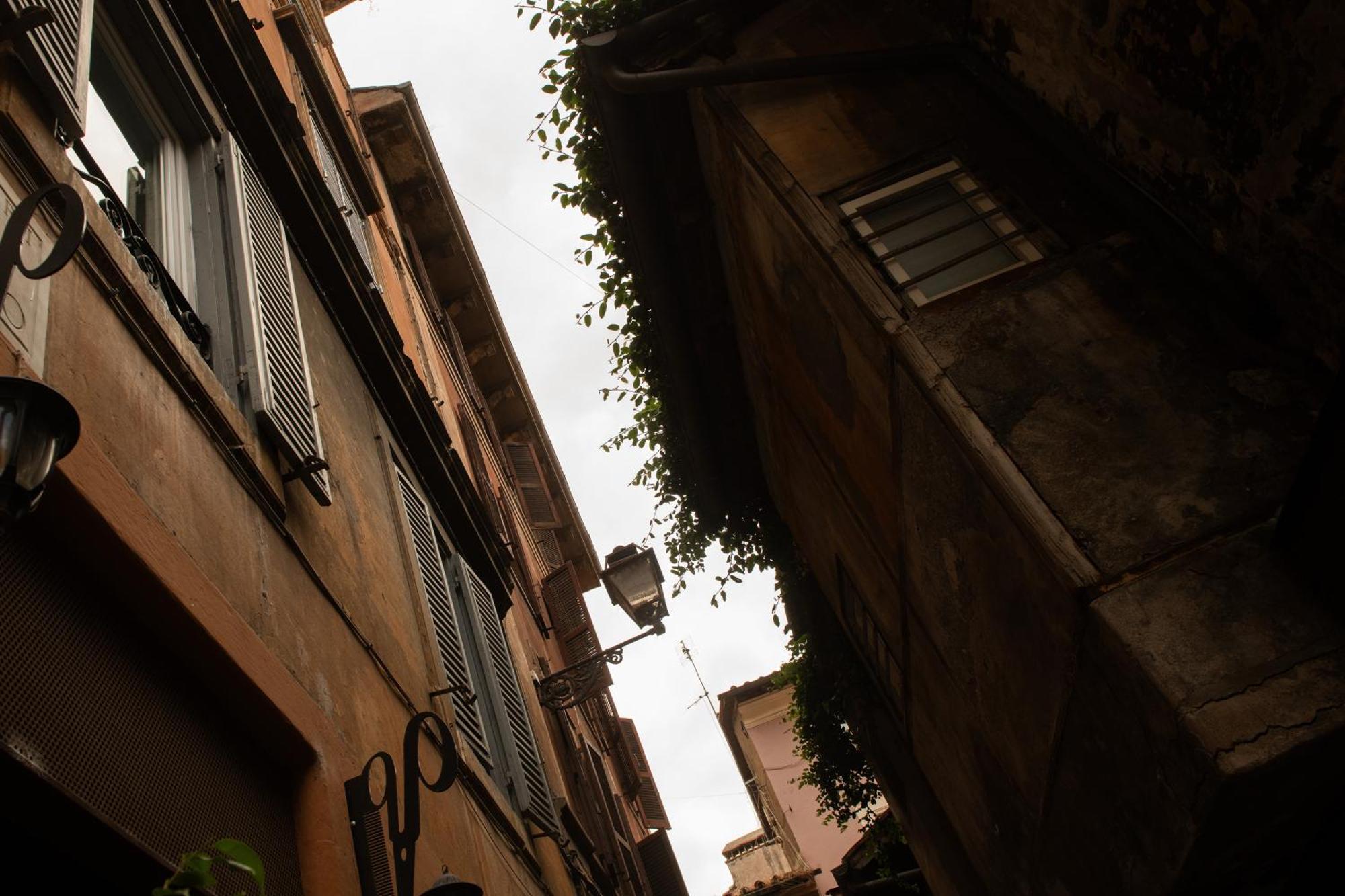 Colosseum View Accomodation روما المظهر الخارجي الصورة